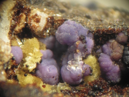 Strengite Laueite Bermanite - Collioure - Massif des Albères - Pyrénées-Orientales