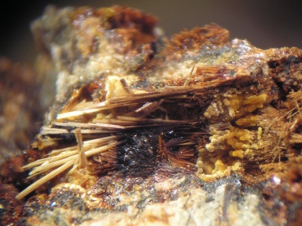 Strunzite Cacoxénite - Collioure - Massif des Albères - Pyrénées-Orientales
