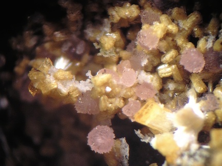 Variscite Jahnsite - Collioure - Massif des Albères - Pyrénées-Orientales