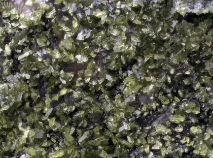 n°171114 - Epidote - Cressy (carrière) - Cressy sur Somme - Saône-et-Loire