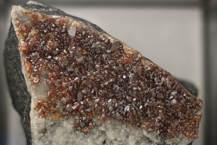 n°179011 - Sphalerite - Carrière Beausoleil - Thorigné - Deux-Sèvres