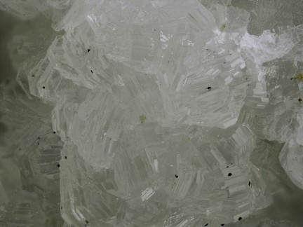 n°105033 - Prehnite - Chaillol - Hautes-Alpes