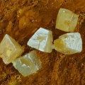 n°134079 - Stolzite -  Le Bosc - Hérault