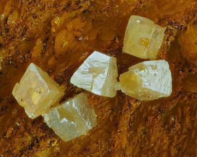 n°134079 - Stolzite -  Le Bosc - Hérault