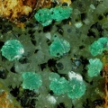 n°134081 - Adamite-Cu - La Rabasse - Avène - Béziers - Hérault