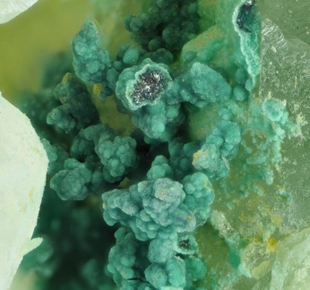 n°134085 - Malachite -  La Rabasse - Avène - Béziers - Hérault