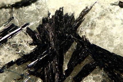 n°105032 - Glaucophane - St Véran - Hautes-Alpes