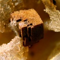 n°107047 - Sidérite Quartz - La Joie (mine) - St Cierge la Serre - Ardèche