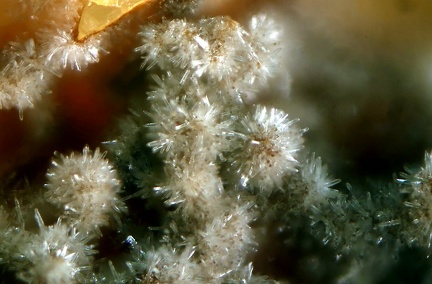 n°107049 - Pyromorphite - La Joie (mine) - St Cierge la Serre - Ardèche