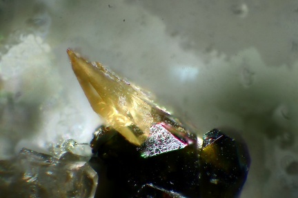 n°112192 - Titanite - Terril Ouest "Bodard" - Lapanouse de Sévérac - Aveyron