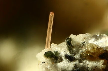 n°163292 - Zircon Titanite Pyroxene - GR30 - Chantauzet - Le Mont Dore - Puy-de-Dôme
