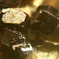 n°173103 - Pyrite - Les Chapieux - Bourg St Maurice - Savoie