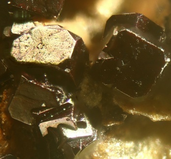 n°173103 - Pyrite - Les Chapieux - Bourg St Maurice - Savoie