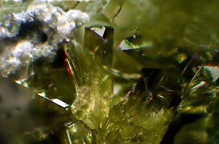 n°198021 - Epidote-Ca - Vallée de la Papenoo -Tahiti - Polynésie-Française