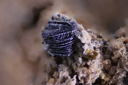 Hématite - Carrière des Châtelaunoux - Mazaye - Puy de Dôme