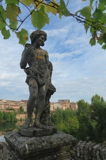 Albi (61)