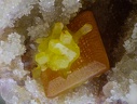 Wulfenite Mimétite - Les Monterniers - Lantignié - Beaujeu - Rhône