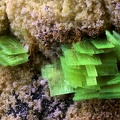 Autunite - Carrière de Peny - Compreignac - Haute-Vienne