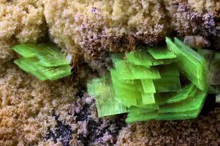 Autunite - Carrière de Peny - Compreignac - Haute-Vienne