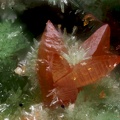 Wulfénite Pyromorphite - Glanges - Haute-Vienne