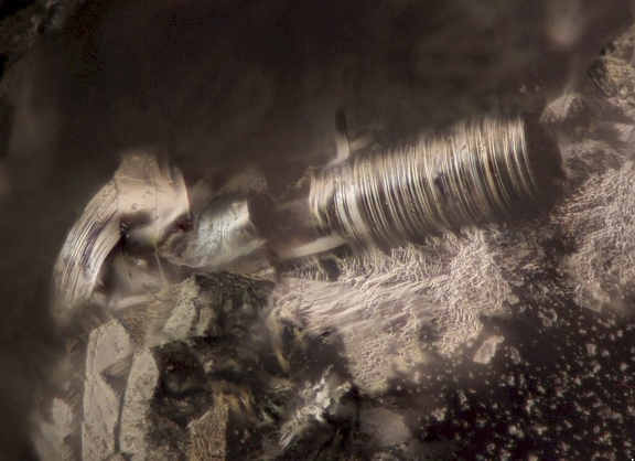 Tubulite - Carrière du Rivet - Montredon-Labessonnié - Tarn - MB - Collection Robert Pecorini - champ0mm40