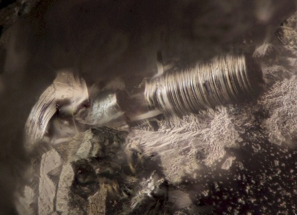 Tubulite - Carrière du Rivet - Montredon-Labessonnié - Tarn - MB - Collection Robert Pecorini - champ0mm40