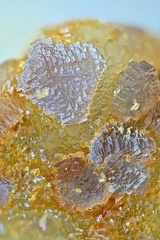 Fluorite - Carrière du pont de Compolibat - Compolibat - Aveyron