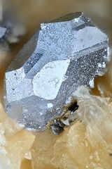 Polybasite  - Carrière du Rivet - Montredon-Labessonié - Tarn