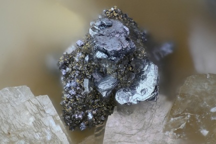 Polybasite - Carrière du Rivet - Montredon-Labessonié - Tarn