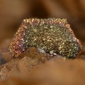 Pseudomorphose pyrrhotite en pyrite - Carrière du Rivet - Montredon-Labessonié - Tarn