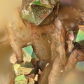 Pyrite icosaedrique - Carrière du Rivet - Montredon-Labessonié - Tarn