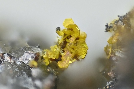 Greenockite - Carrière du Rivet - Montredon-Labessonié - Tarn
