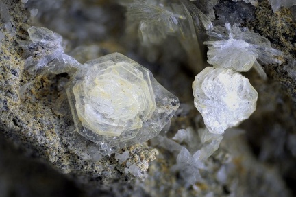 Tunisite - Condorcet - Nyons - Drôme