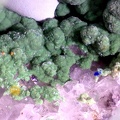 Tyrolite - Hubac de Jourdan (mine)  - Daluis  - Nice - Alpes-Maritimes 