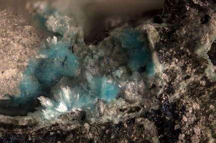 Aurichalcite - Les Cèdres - St Laurent Le Minier - Gard