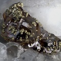 Pyrite - Les Cèdres - St Laurent Le Minier - Gard