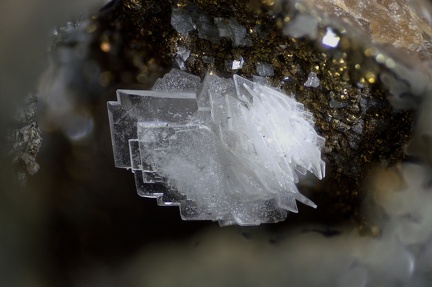 Baryte  - Les Cèdres - St Laurent Le Minier - Gard