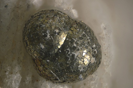 Pyrite - Les Vieux Travaux - Les Malines - Saint Laurent le Minier - Gard