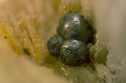 Pyrite - Les Vieux Travaux - Les Malines - Saint Laurent le Minier - Gard
