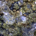   Sphalerite Baryte - Les Vieux Travaux - Les Malines - Saint Laurent le Minier - Gard