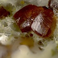 Andradite - Le Dramont - Saint-Raphaël - Var
