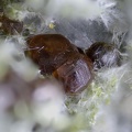 Andradite - Le Dramont - Saint-Raphaël - Var