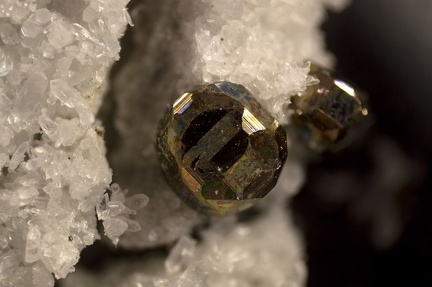 Pyrite - carrière d Aigue Bonne - Saint-Raphaël - Var