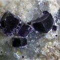  Antozonite - Saint-Jean - La Berle (mine) - Fréjus - Var 