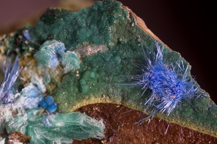 Cyanotrichite - Cap Garonne - Le Pradet - Var