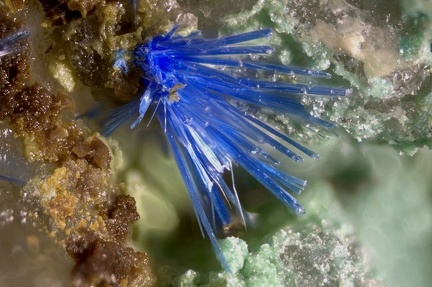 Cyanotrichite - Cap Garonne - Le Pradet - Var
