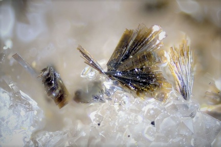Goethite - Le Charbonnier - Var