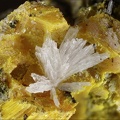Orpiment Guérinite - Lucéram - Alpes-Maritimes