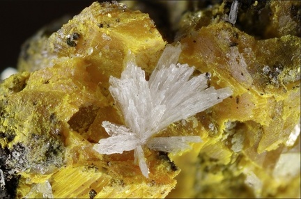 Orpiment Guérinite - Lucéram - Alpes-Maritimes
