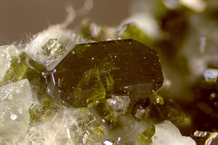Epidote - Vallon de Clausis - Molines-en-Queyras - Briançon - Hautes-Alpes 